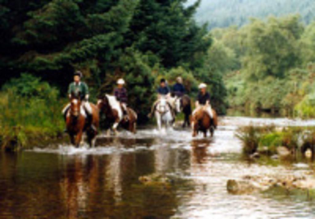 River Lodge Accomodation 威克洛 外观 照片